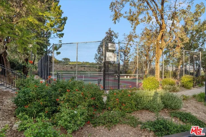 Basketball Hoop Court.