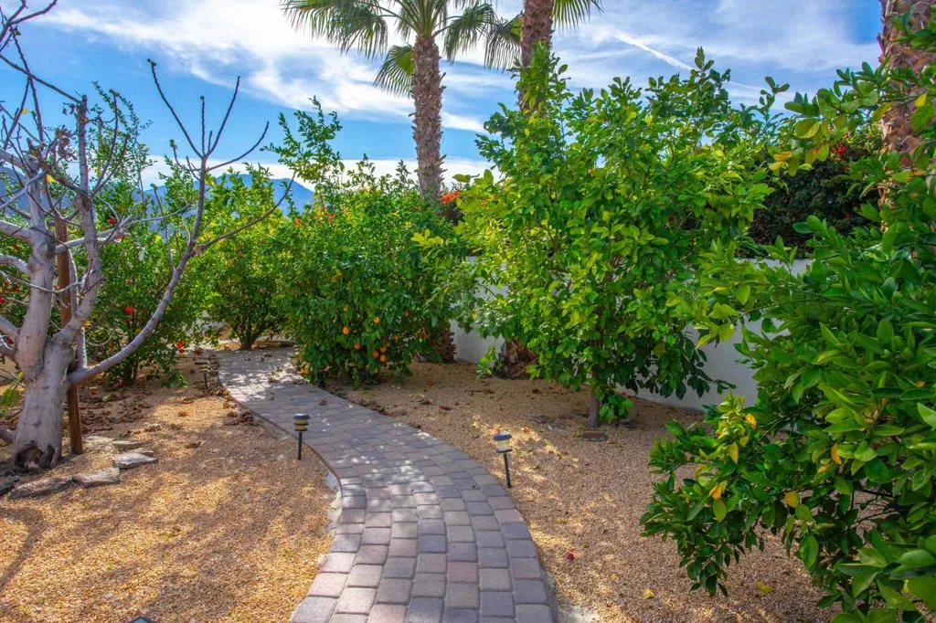 49650 Date Palm Drive, La Quinta, California 92253 home-pic-56