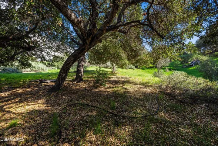 3550 Three Springs Dr-VDingmanMedia-29