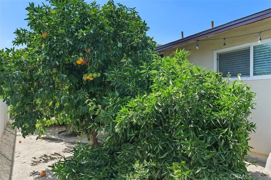 4117 Bel Air, Riverside, California 92503 home-pic-22