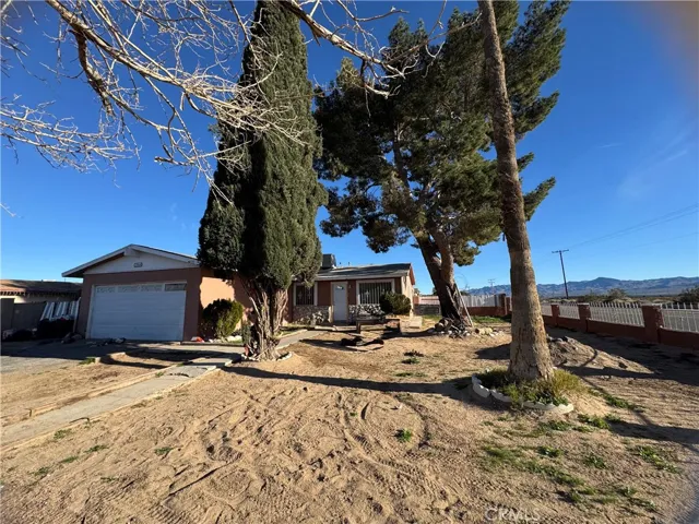 Front Yard