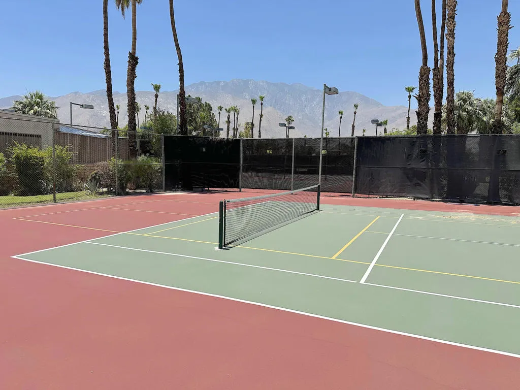 1679 Sunflower Court N, Palm Springs, California 92262 home-pic-53
