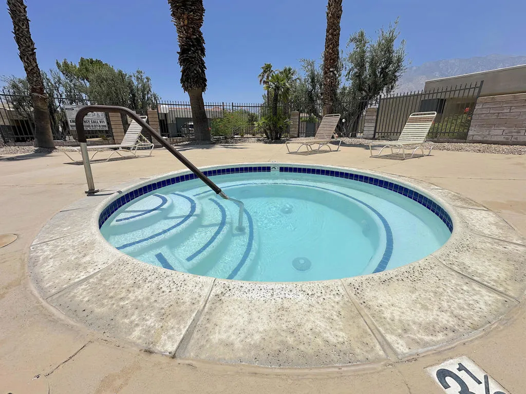 1679 Sunflower Court N, Palm Springs, California 92262 home-pic-52
