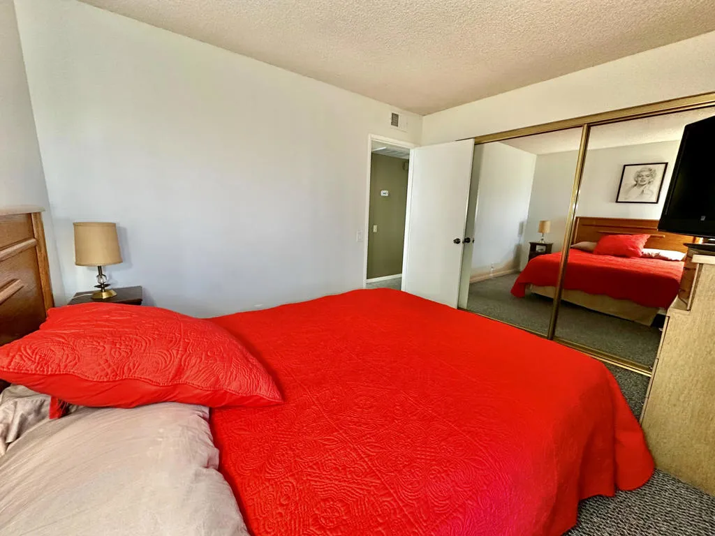 1679 Sunflower Court N, Palm Springs, California 92262 home-pic-24