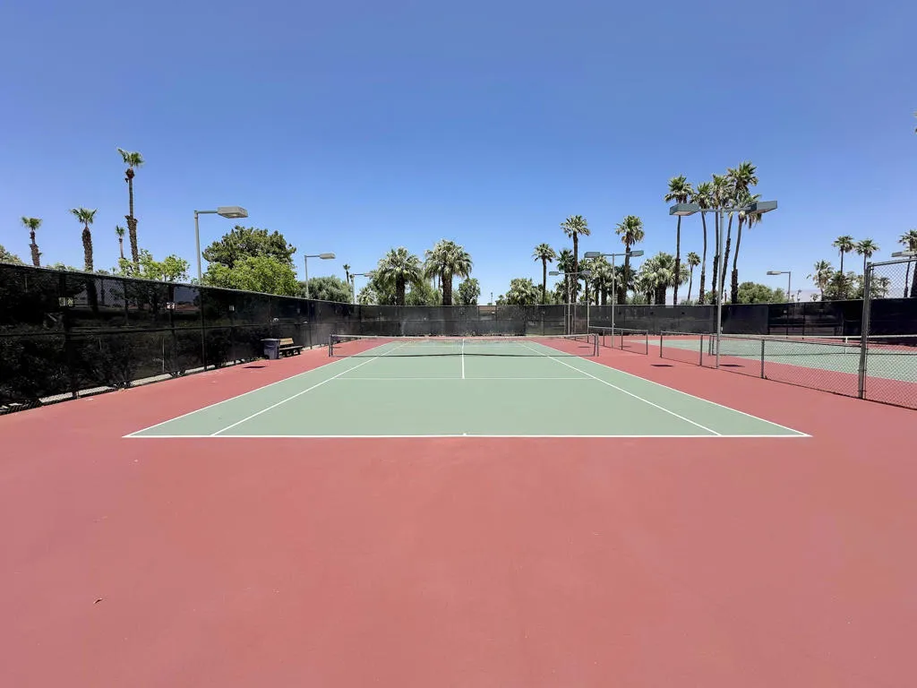 1679 Sunflower Court N, Palm Springs, California 92262 home-pic-54