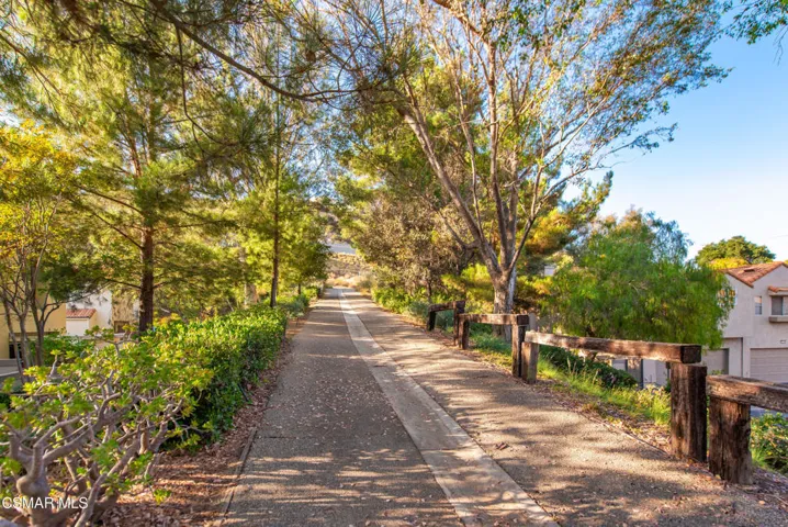 22203 Shadow Valley Cir Chatsworth-37