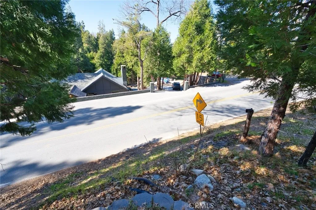 29083 Hook Creek, Cedar Glen, California 92321 home-pic-43