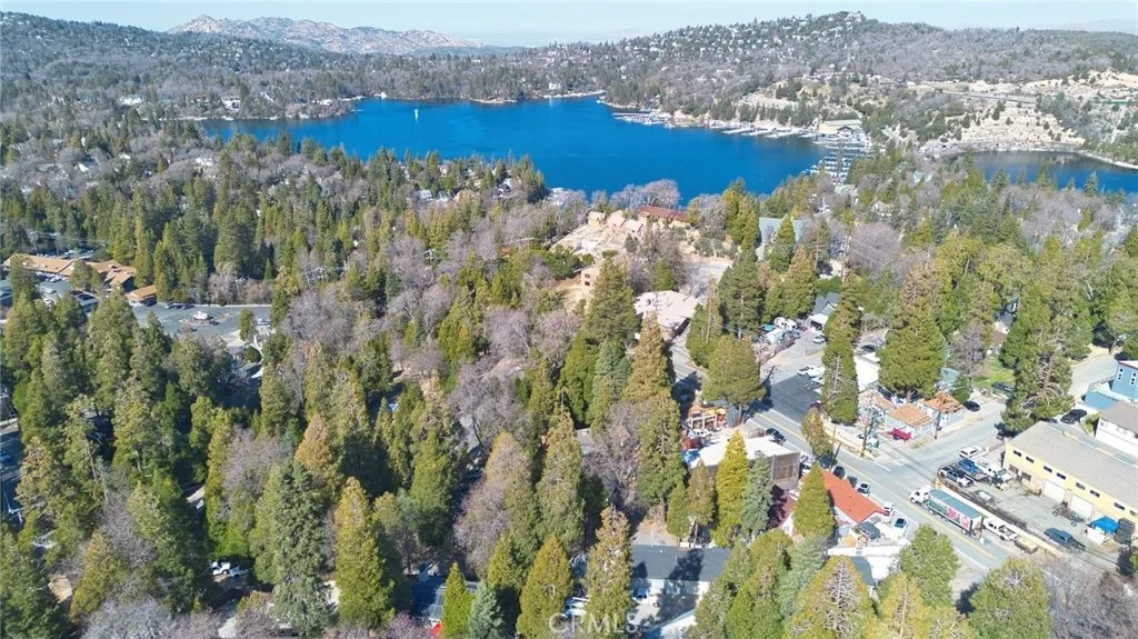 29083 Hook Creek, Cedar Glen, California 92321 home-pic-49