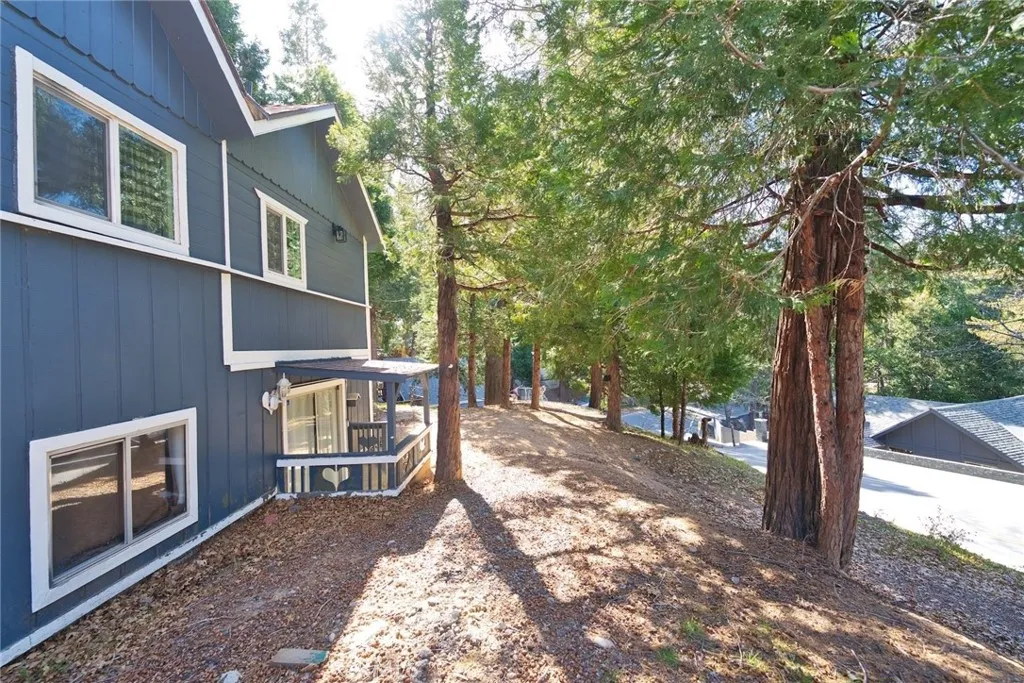 29083 Hook Creek, Cedar Glen, California 92321 home-pic-8