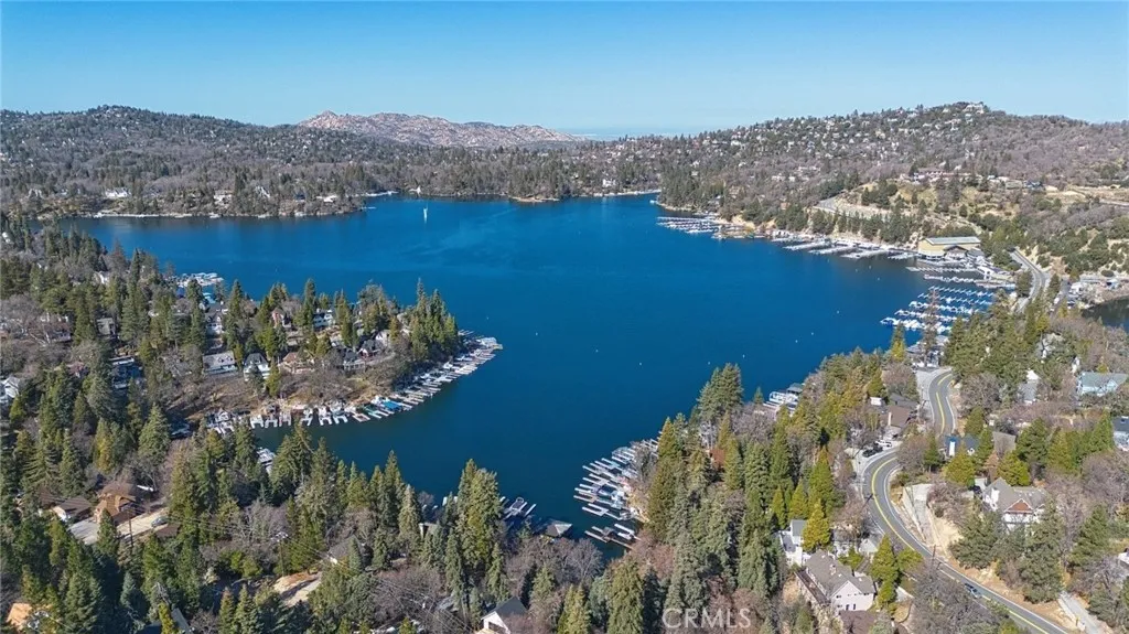 29083 Hook Creek, Cedar Glen, California 92321 home-pic-45