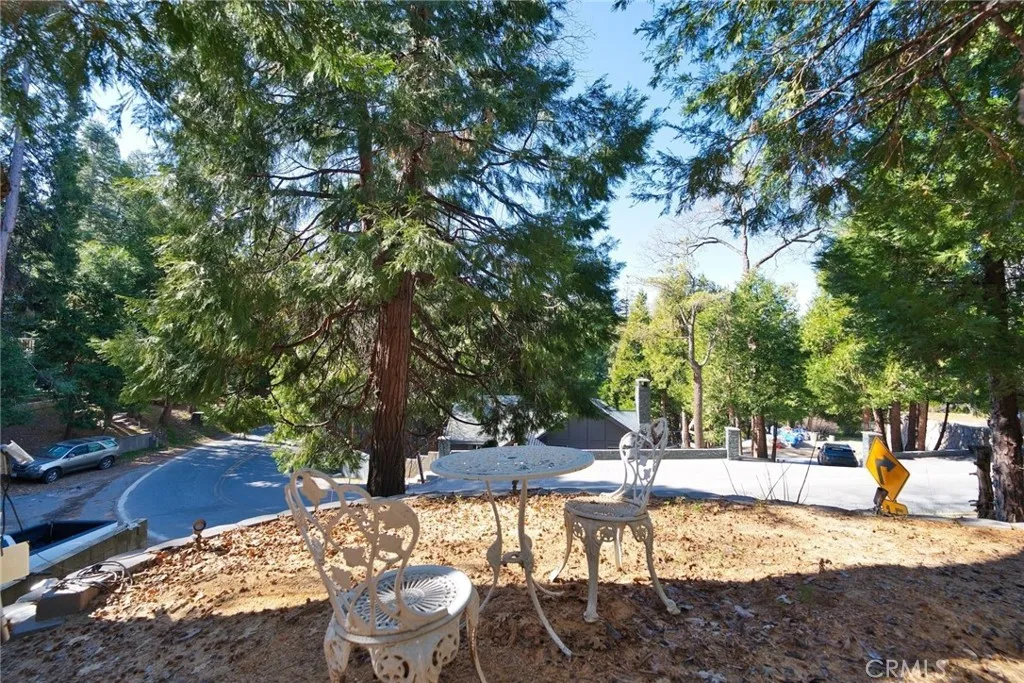 29083 Hook Creek, Cedar Glen, California 92321 home-pic-42