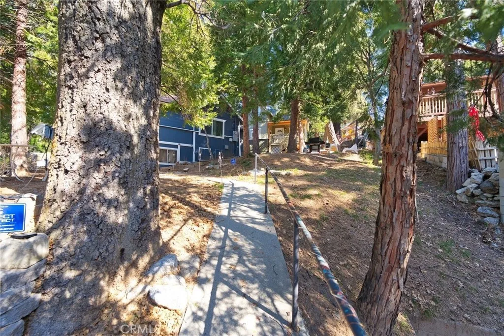 29083 Hook Creek, Cedar Glen, California 92321 home-pic-44