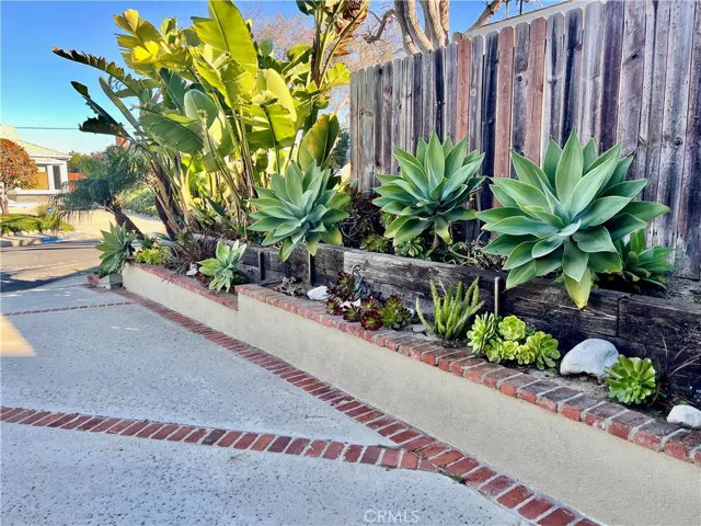 Succulent Plaintings Along Driveway