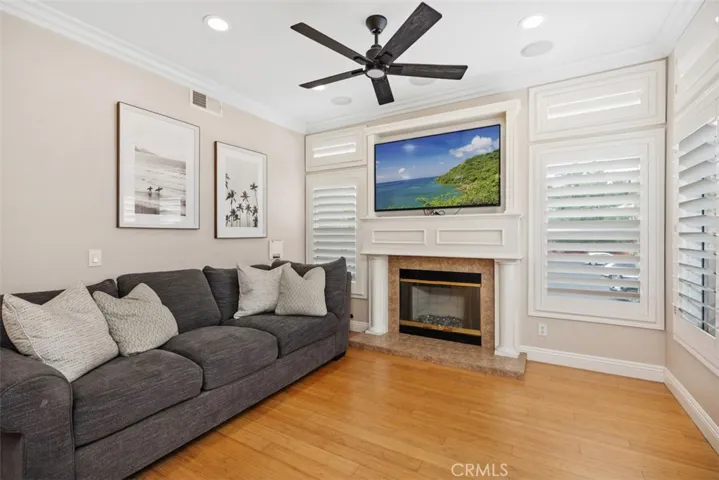 Warm wood-style floors with modern-fire and ice fireplace.