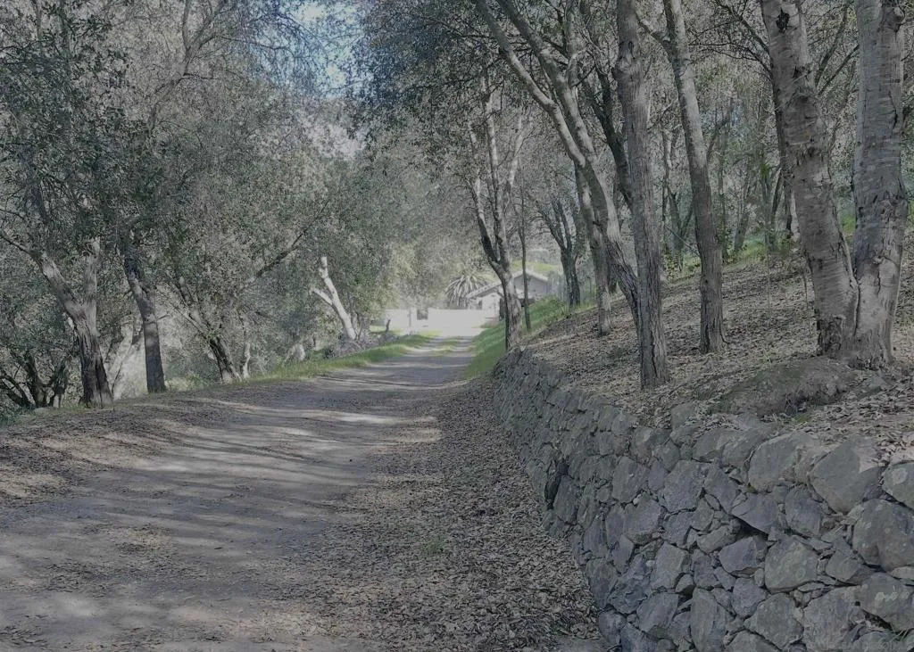 32906 Rincon Rancho Rd, Pauma Valley, California 92061 home-pic-15