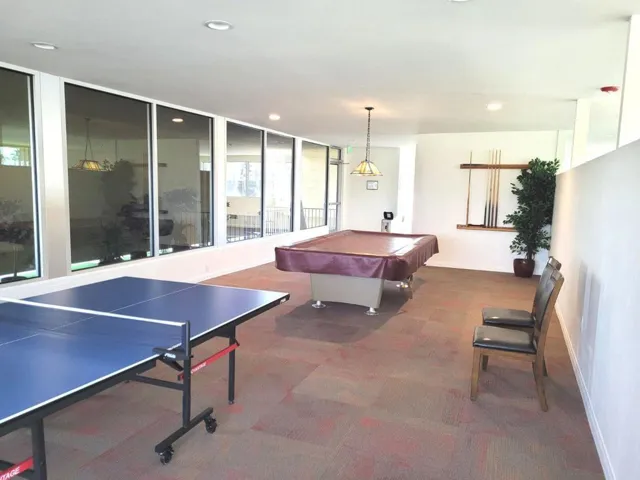 Ping-pong & billiards