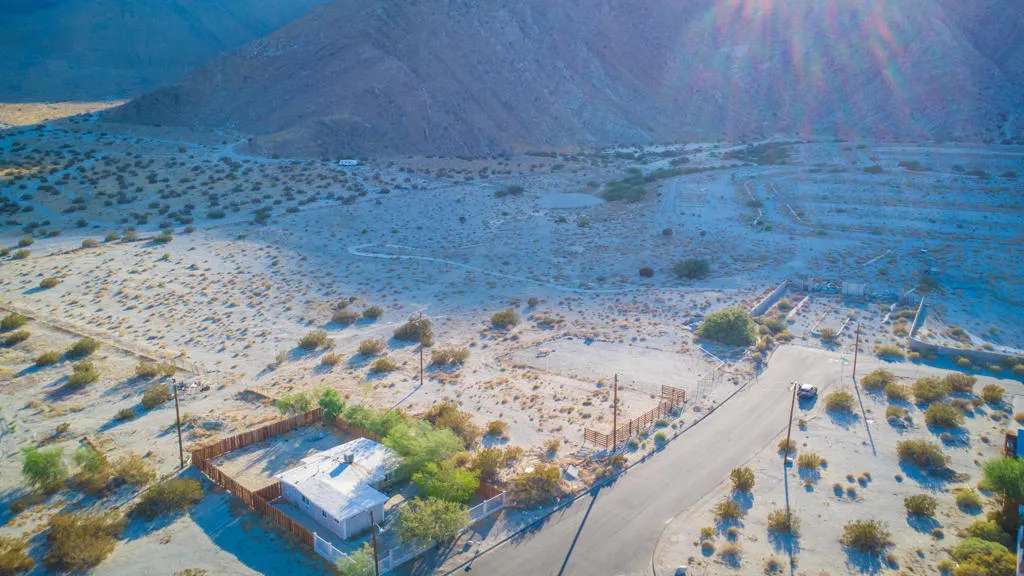 Palm Oasis Drone-8
