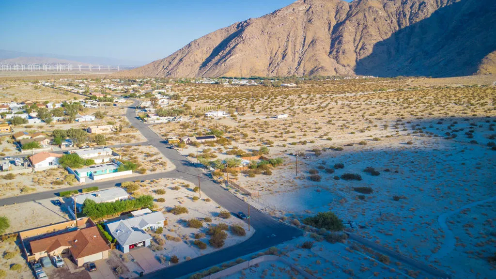 Palm Oasis Drone-14