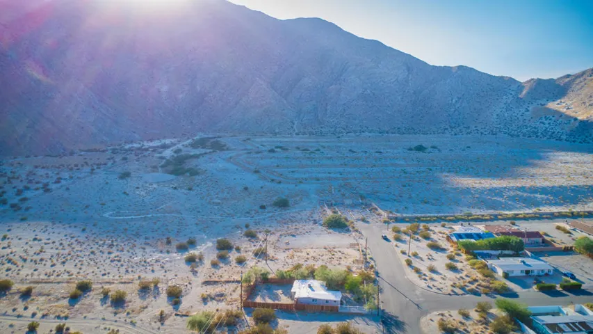 Palm Oasis Drone-9