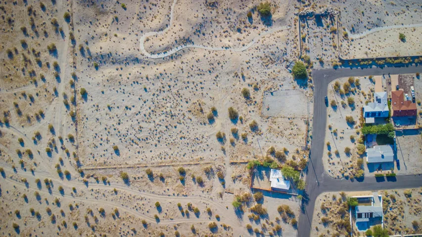 Palm Oasis Drone-1