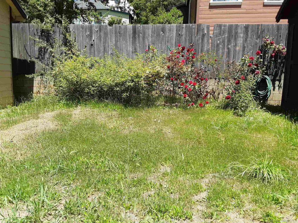 House backyard.