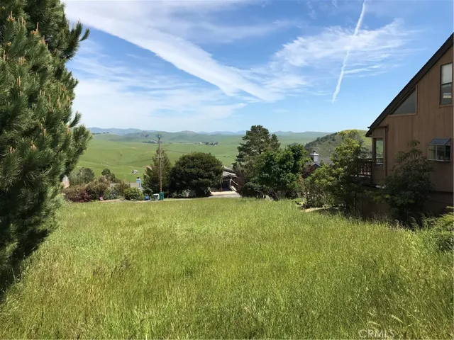 Older photo taken from Hudson St. Arliss triple lot is below these Hudson lots.