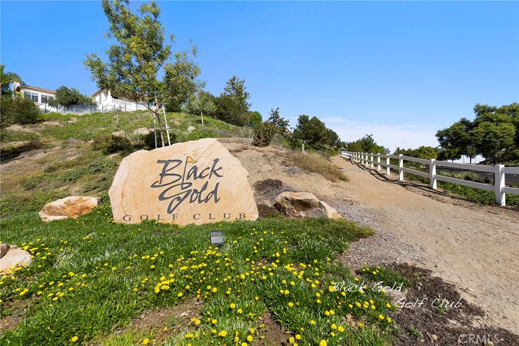 18150 Spyglass Hill, Yorba Linda, California 92886 home-pic-34