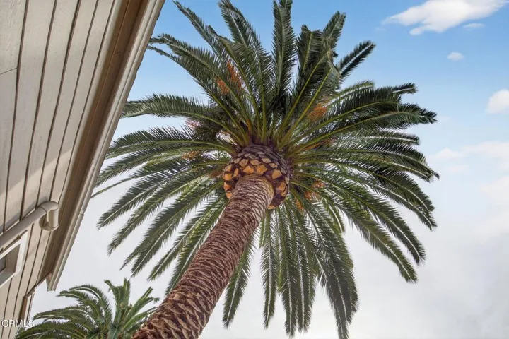36-web-or-mls-UpmarketMedia_201Olive-038