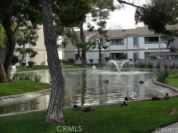 Lake area in complex