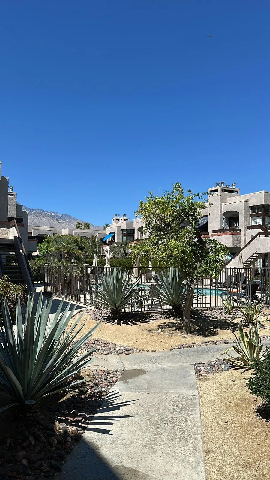 2601 S Broadmoor Drive 74, Palm Springs, California 92264 home-pic-24