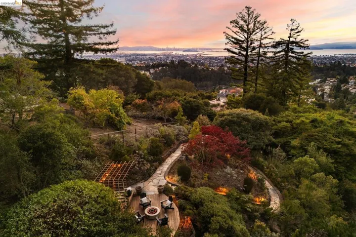 Drone / aerial view of a forest