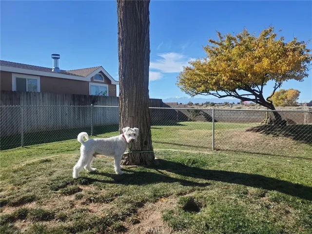 FENCED OFF LEASH PARK