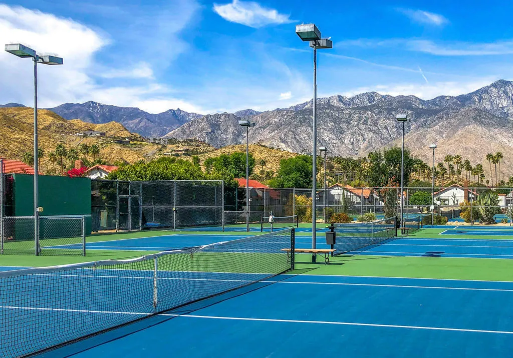 2262 S Linden Way B, Palm Springs, California 92264 home-pic-49