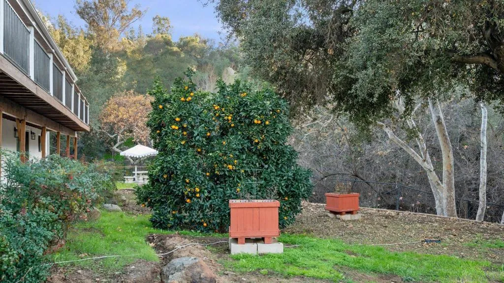 1165 Midway Dr, Alpine, California 91901 home-pic-54