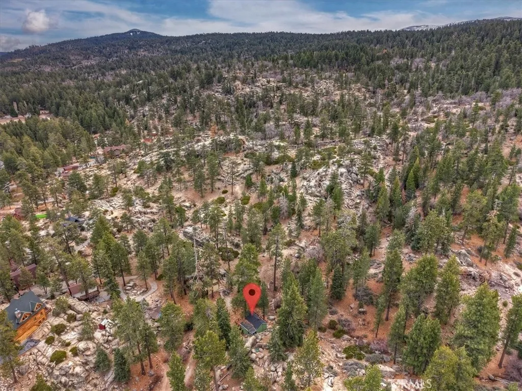 898 Brier Trail, Big Bear Lake, California 92315 home-pic-39