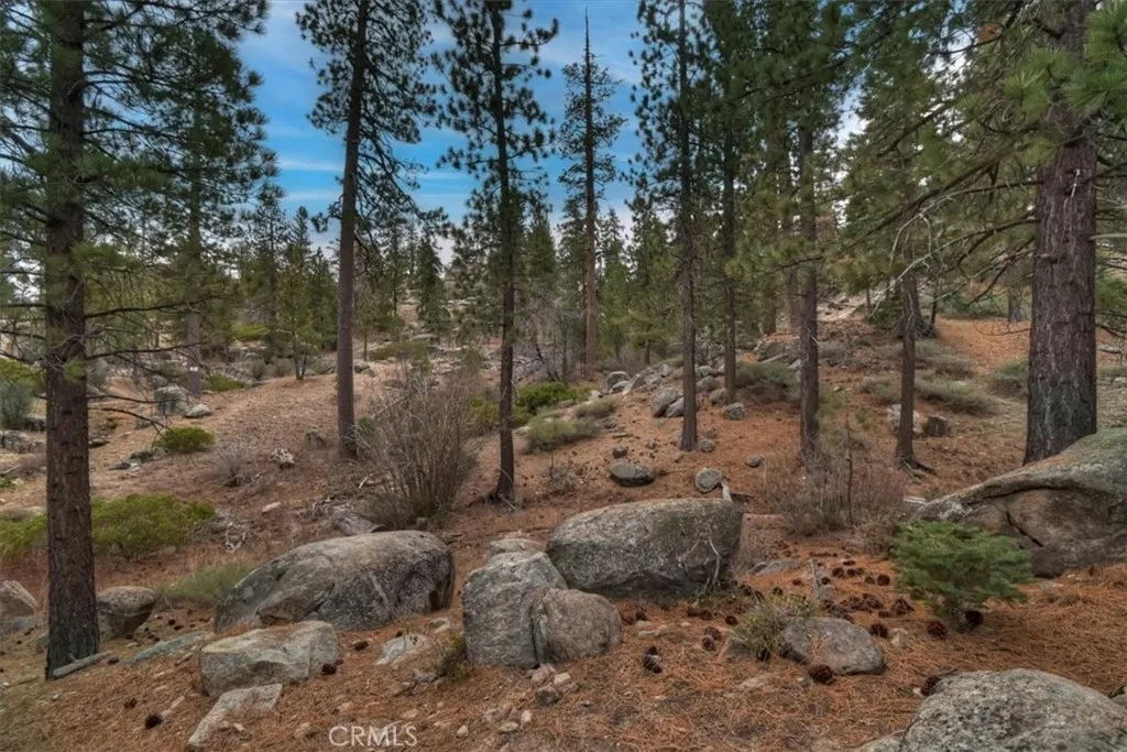 898 Brier Trail, Big Bear Lake, California 92315 home-pic-30