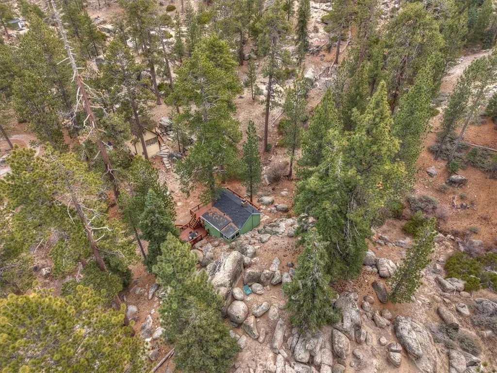898 Brier Trail, Big Bear Lake, California 92315 home-pic-38