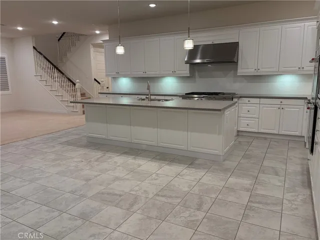 117 Wanderer, Irvine, California 92618