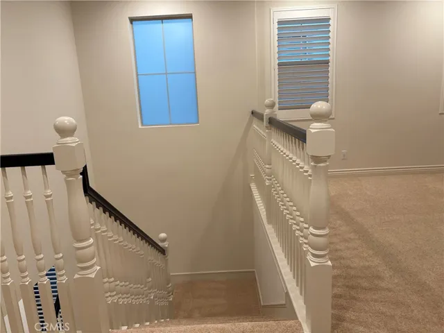 117 Wanderer, Irvine, California 92618