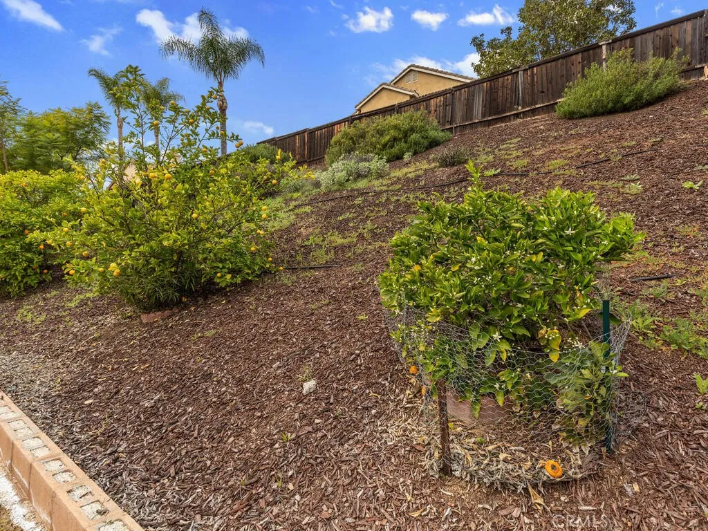 39815 Highbury Drive, Murrieta, California 92563 home-pic-48