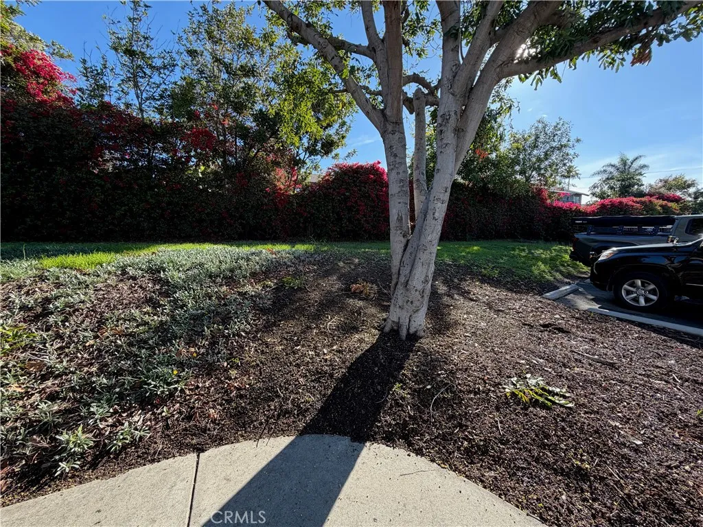 0 Monique Court, Vista, California 92084 — photo 5