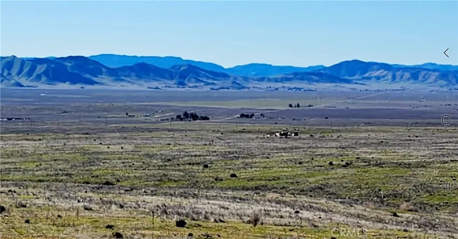 Looking West