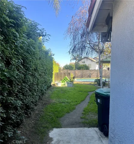 Back Yard 3