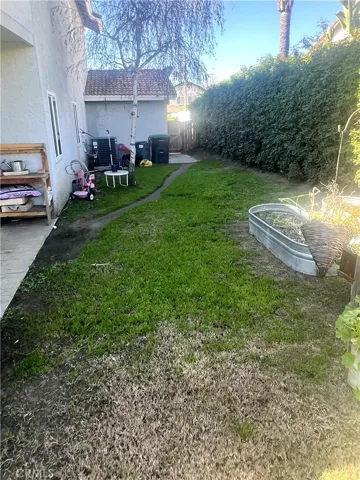 Back Yard 4
