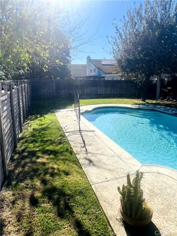 Back Yard / Pool