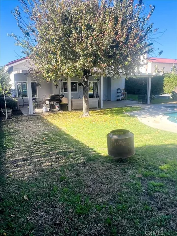 Back Yard 2