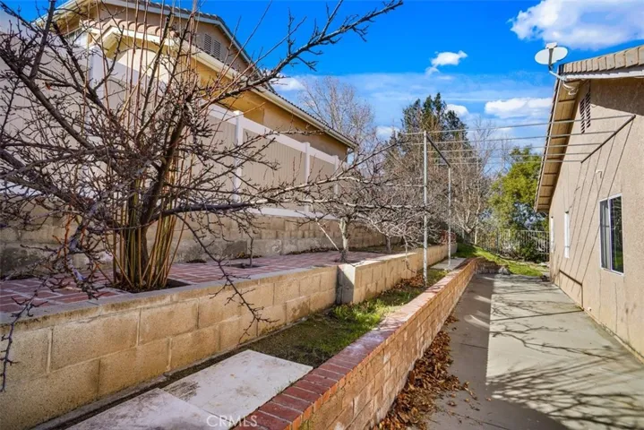 side yard with fruit trees
