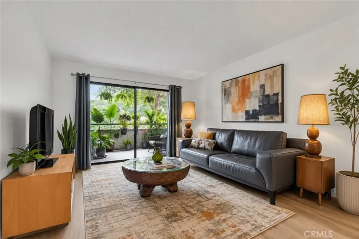 Living room (rug, plants and art virtually staged)