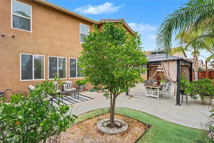 Fruit tree and landscaped yard