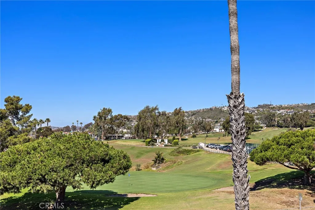 2501 S El Camino Real 309, San Clemente, California 92672 home-pic-3